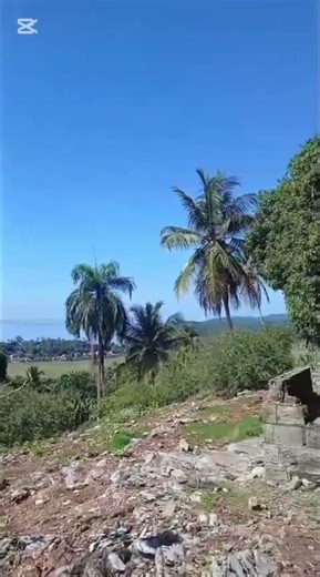 # Naturaleza #Samana# Rep.Dom.