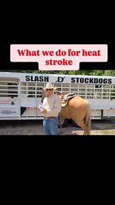 1.1K views · 425 reactions | Who's had a dog get heat stroke while out working, hunting, or hiking? Sometimes getting them to water isn't an option. Here's a video with a list of items that we have used many times over with great success. These items may not save your dog by themselves, but they may buy you enough time to get your dog to the vet. In an emergency, time matters! #heatstroke #dogs #bordercollie #pets #whatwedo | Slash D Stockdogs | Facebook