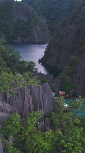 Diving into the crystal-clear depths of Barracuda Lake, where every swim is a brush with magic. 🌊✨ #CoronAdventure #UnderwaterWonder #itsmorefuninthephilippines #DOTaccredited #palawan #coron #MoreFunAwaits #calamianislandstravel #calamiantours #calamianislandstravelandtours #coronisland #freediving #freedivingphotography #discoverphilippines #departmentoftourism #travelphilippines #triptocoron #palawan #coronpalawan #coronislandsuperultimatetour | Calamian Islands Travel and Tours