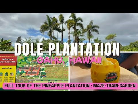 DOLE PLANTATION IN OAHU, HAWAII (FULL TOUR OF THE PINEAPPLE PLANTATION: MAZE, TRAIN AND GARDEN)
