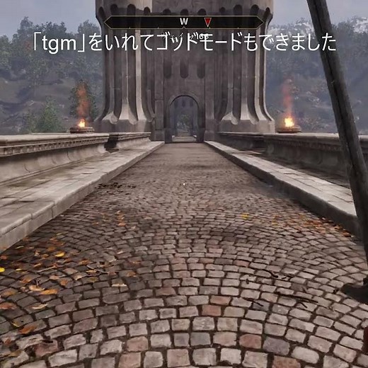 【TES4】The Elder Scrolls IV: Oblivion Remastered 「TES4 オブリビオン 攻略」コンソールの開きかた
