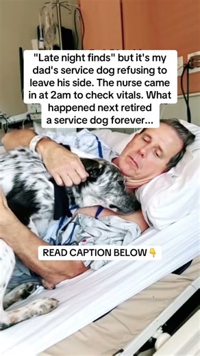 The full story in the description