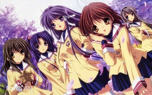 【Clannad】两季OP/ED合集 1080P 画质 收藏推荐~