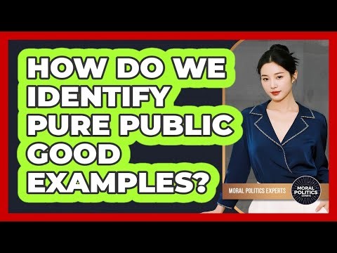 How Do We Identify Pure Public Good Examples?