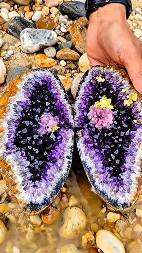 Rare Amethyst Geode Split Stunning Purple Crystal Treasure 💜✨