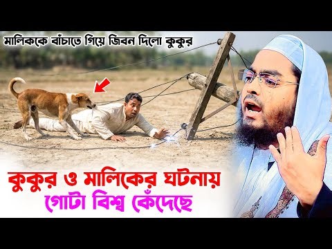 মালিক এবং কুকুরের কান্নার ঘটনা । Hafizur rahman waz 2025 । Holy Speech