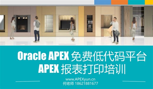 Oracle APEX 免费低代码平台 - APEX 报表打印培训