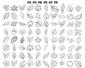 Fall Leaves SVG | Fall SVG | Fall Leaf Cricut | Autumn Svg | Fall Clipart | Fall Silhouette | Outline Leaf Svg | Fall Decor | Back to School - Etsy