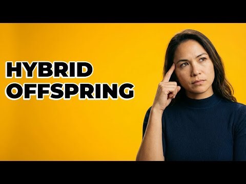 Are Donkey And Dragon's Children Dragons Or Donkeys?