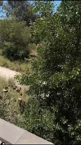 19K views · 395 reactions | Uncovering Construction Chaos in...