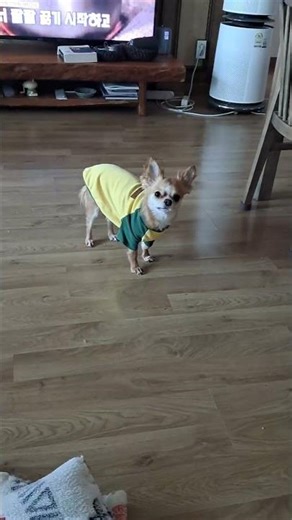 The story of how I hate wearing clothes but my dad made me wear them