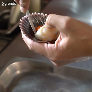 194K views · 315 reactions | “Leche de Tigre of beans & dried coral shells” Wow 勞 Find the full recipe for the emulsion in the Gronda profile of chef Jaime Pesaque ‍ exclusively in our app: https://gronda.app.link/fb | Gronda | Facebook