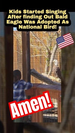 Students At Alpine ZOO Singing National Anthem for Bald Eagle!