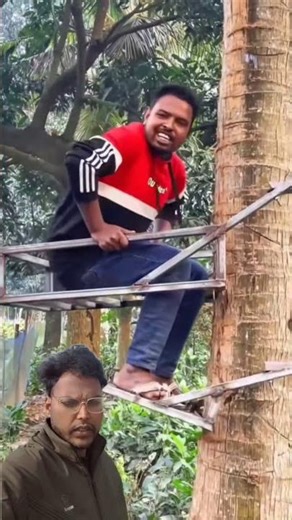 Unbelievable! Anyone Can Climb Trees Safely with This Machine 🤯