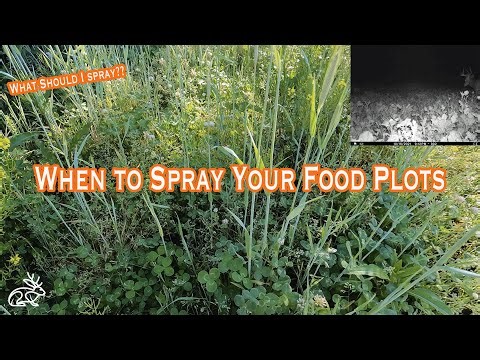 When to Spray Your Food Plots