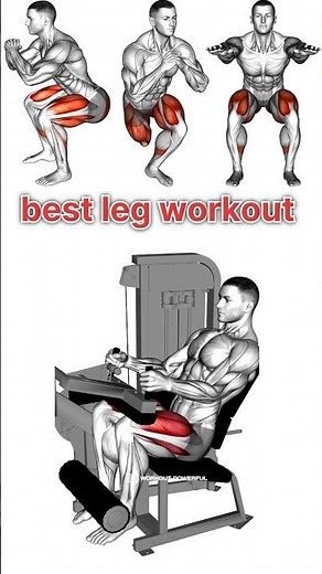 Best Leg Workout (for Hypertrophy!)