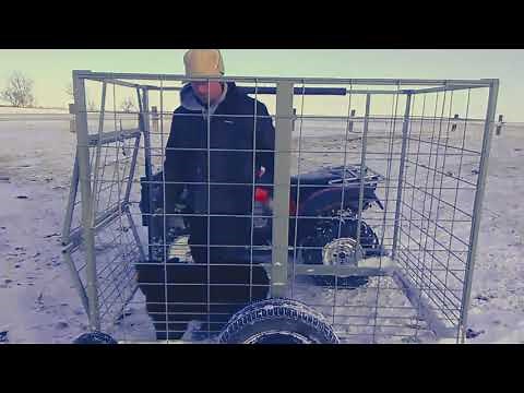 Peerbuilt calf catcher demonstration
