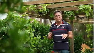 Trevor from The Garden Gurus is back, and just in time for Summer! ☀️ Keep outdoor entertaining spaces and pet areas cool with a DIY Misting Kit. Reducing temperatures by up to 10 degrees, it's easily expandable to fit any garden. Available in 7m and 20m length, find out more on our website: https://www.holmanindustries.com.au/misting-kits/ | Holman Industries | Facebook