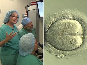 Moment of conception: Egg fertilized live on TV