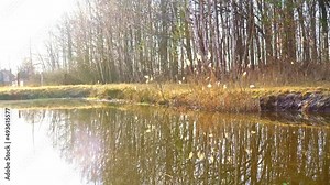 Spring landscape. Forest and lake in spring. The awakening of nature after winter. Relaxation and peace. Rest outside the city.