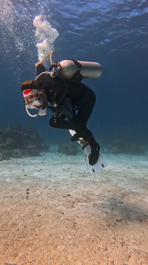 80K views · 1.2K reactions | ‍♂️ Surf's up, underwater edition!...