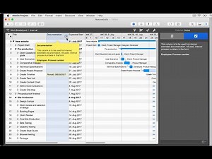 Merlin Project: Descriptive Text Help for Custom Columns (English)