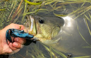 Best Bass Lures 2022 (Top 13 New Baits) - Bass Tackle Lures