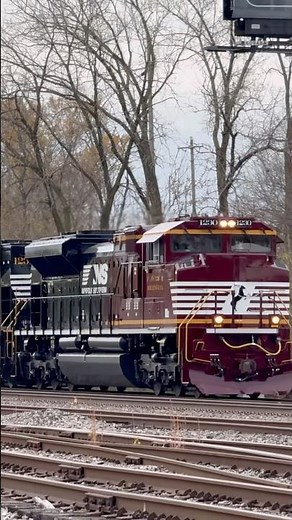 The new NS OCS with 1230 and 1231 #railroad #railfan #railway #heritageunit #ns #train