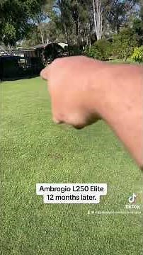 Check out this ambrogio L250 Elite robot mower after mowing the lawn for 1 year.