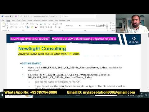 Excel 365/2021 Modules 5-8 SAM Critical Thinking Capstone Project 1c | NewSight Consulting