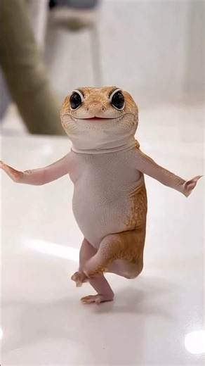 Leopard Gecko’s Hidden Secrets Revealed #shortvideo