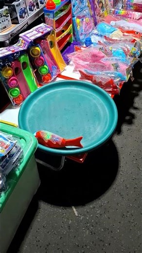 spinning fish toy on a tray