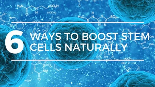 Top 6 Ways to Boost Your Stem Cells Naturally