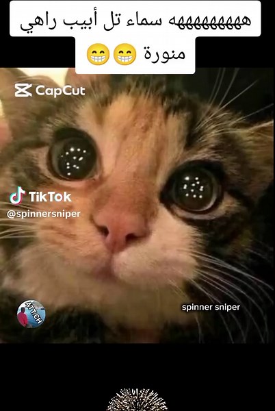 spinner sniper sur TikTok
