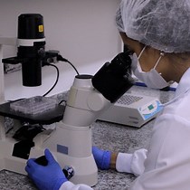 Video: Investigation of Beige Fat Biology and Metabolism Using the CRISPR SunTag-p65-HSF1 Activation System