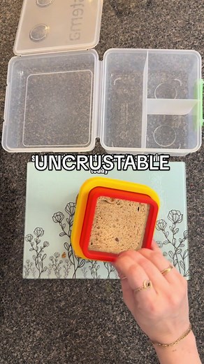 Nutella Lunch Box Ideas for Kids