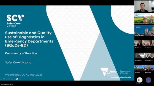 SQuDs-ED project- Community of Practice Session 2-20250820_Partnering with Consumers