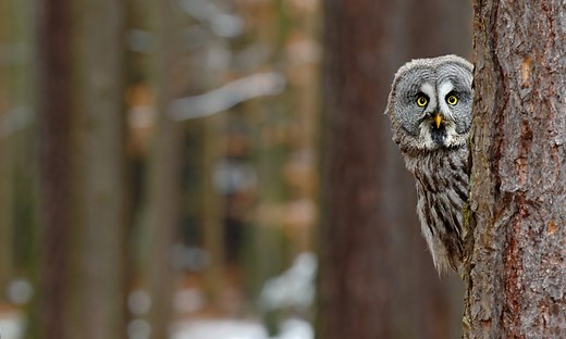 how to ask the universe for a sign