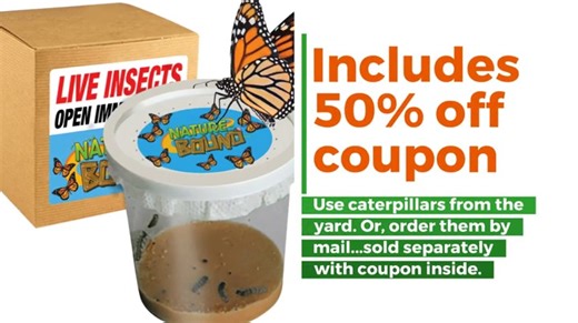 Watch Nature Bound Butterfly Growing Habitat Kit - with Voucher to Redeem Live Caterpillars for Home or... on Amazon Live