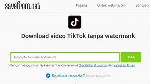 3 Cara Download Video TikTok Tanpa Watermark di Savefrom Net - Tribunkaltim.co