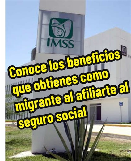Beneficios del Seguro Social para Migrantes en México
