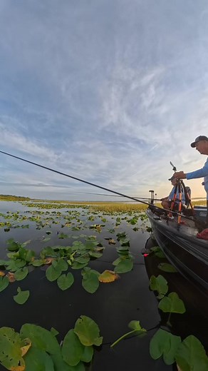 44 at SUNRISE #shellcracker #fishing #floridafish | Kissimmeespecial