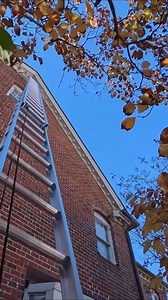 Climb a 40 ft ladder with a guy who doesn't like heights #painting #construction #realestate | Joe Does Stuff