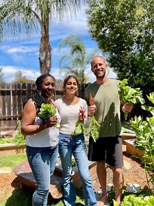13K views · 672 reactions | Grow Your Own Food with The Free Seed Project! Napa County Seed Library is growing a garden with seeds from The Free Seed Project and shares a tour with us of her garden full of greens, herbs and veggies. Follow Live Like Ally Foundation for more inspiration and education to grow your own food! Learn more about The Free Seed Project: www.robgreenfield.org/fsp | Robin Greenfield | Facebook