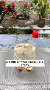 1.6M views · 10K reactions | Unique root stimulation formula #garden #gardening #plants #planting #planthacks #gardenhacks #gardeningmakemehappy #gardeningtips #gardeningideas #gardeninspiration #gardenlove | Gardening Dreamer | Facebook