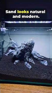 Sand vs Gravel Which Tank Substrate Wins #aquariumcare #fishtank
