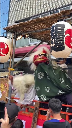 東京 八王子まつり お囃子 獅子舞 狐 #祭り #お祭り #八王子まつり #夏祭り #お囃子 #獅子舞 #狐