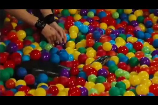 Jackass masodik resz