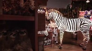 8.5K views · 197 reactions | Have you seen our magical ZooLights TV spot? It's sure to put you in the holiday mood! | Utah's Hogle Zoo | Facebook