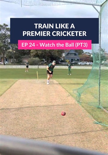 Mastering the Art of Watching the Ball in Cricket